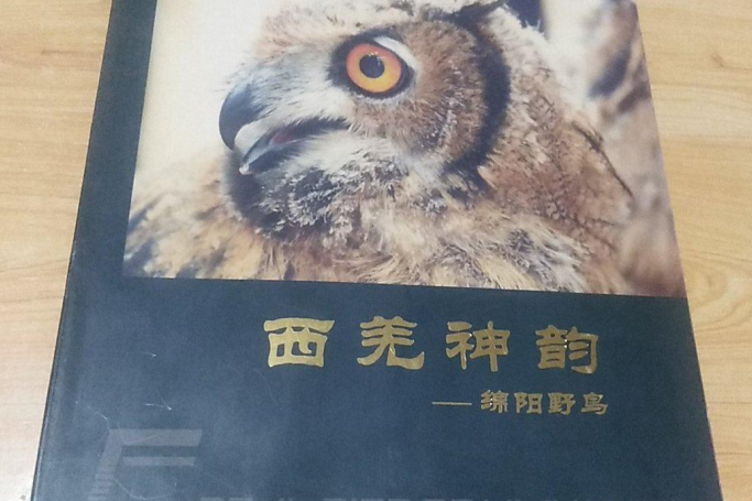 西羌神韻 西羌神韻