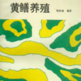 黃鱔養殖