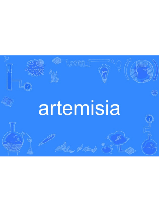artemisia artemisia