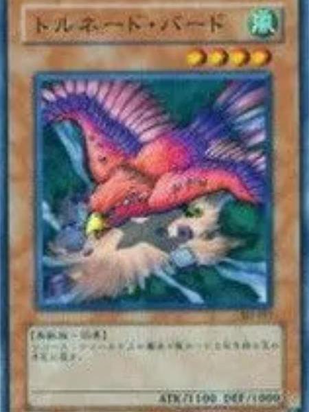 龍捲鳥 龍捲鳥