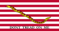 美國國籍旗