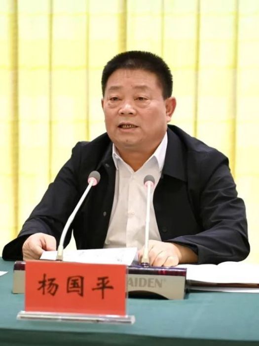 楊國平(貴州省委第十一巡視組組長) 楊國平(貴州省委第十一巡視組組長)