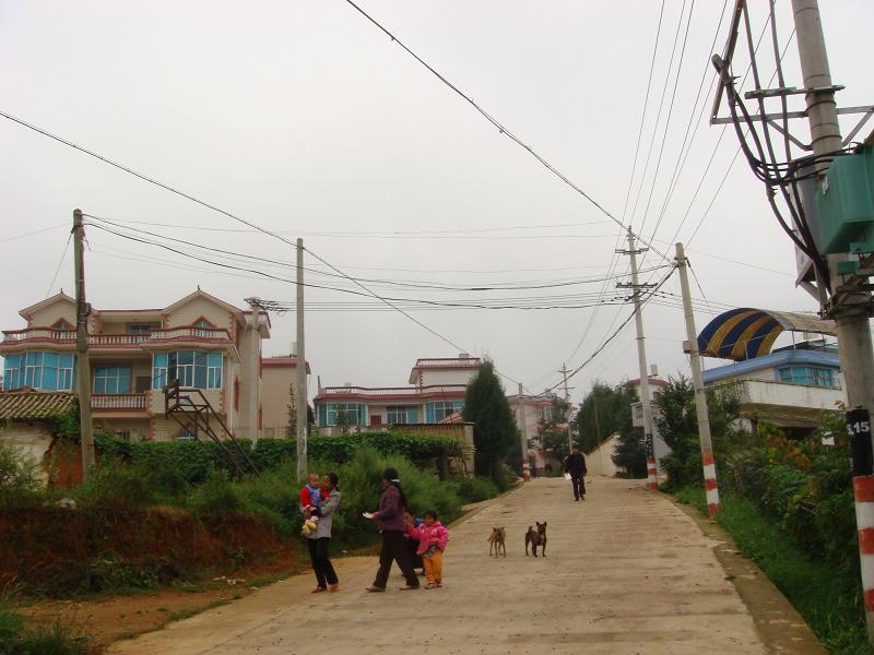 東大村(雲南省昆明市盤龍區雙龍鄉下轄村)