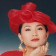 王昭君(鳳飛飛演唱歌曲) 王昭君(鳳飛飛演唱歌曲)