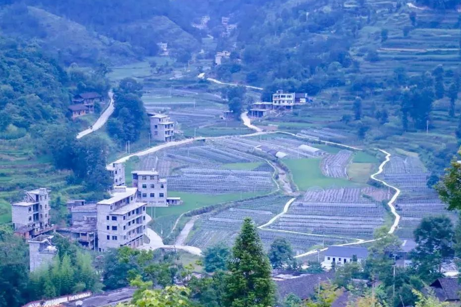 三陽村(貴州省銅仁市沿河自治縣夾石鎮下轄行政村) 三陽村(貴州省銅仁市沿河自治縣夾石鎮下轄行政村)