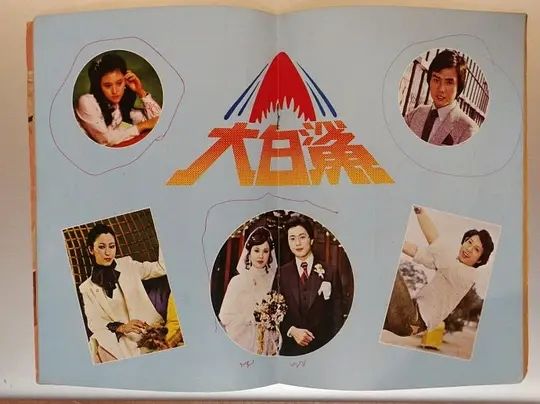 大白鯊(1978年亞視電視劇) 大白鯊(1978年亞視電視劇)