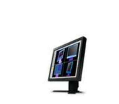 Eizo FlexScan L985EX Eizo FlexScan L985EX