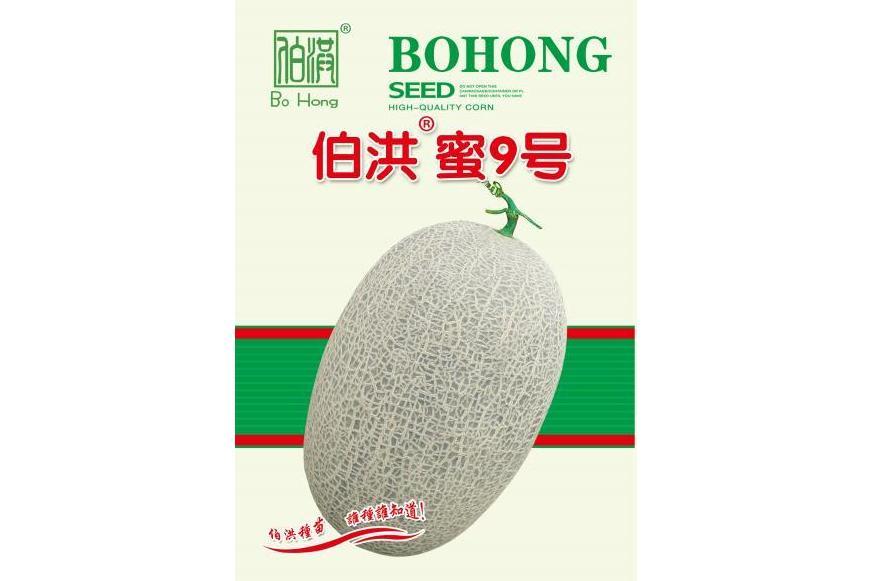伯洪蜜9號 伯洪蜜9號