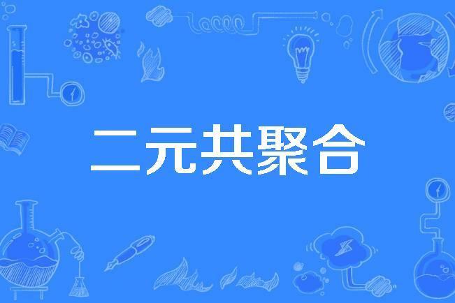 二元共聚合