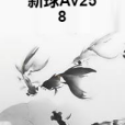 新球Av258 新球Av258