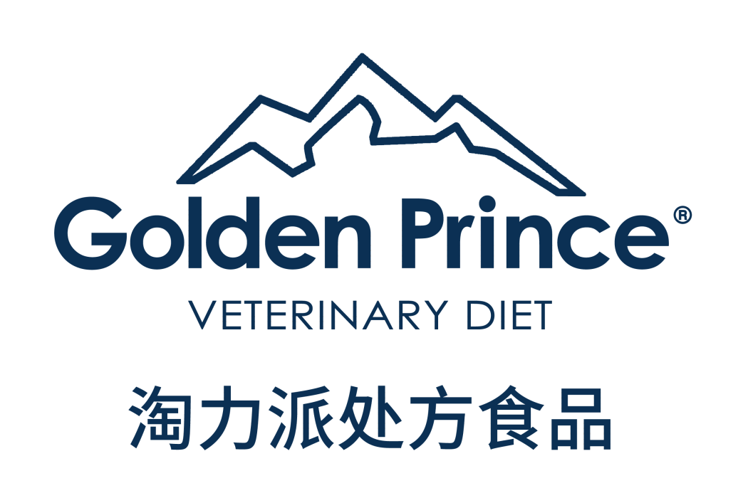 淘力派