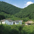 九里山(浙江省諸暨市九里山) 九里山(浙江省諸暨市九里山)