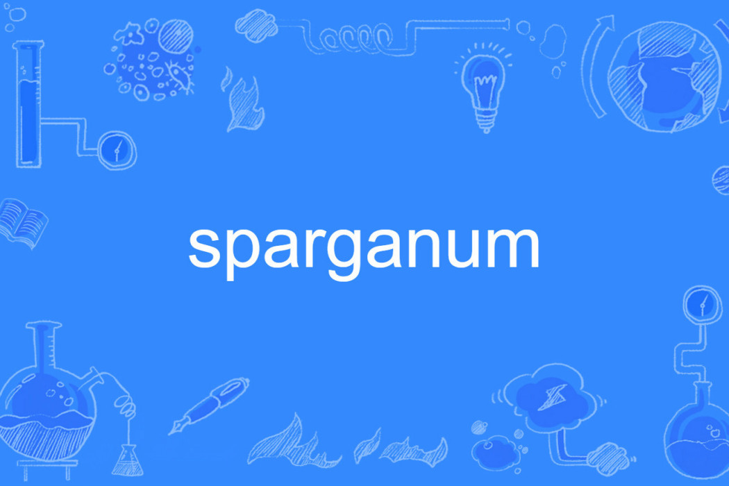 sparganum sparganum