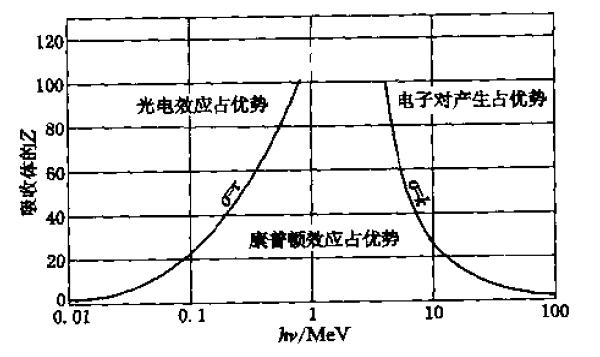 圖2 γ射線與物質的相互作用相對強弱