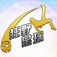 狂野足球 狂野足球