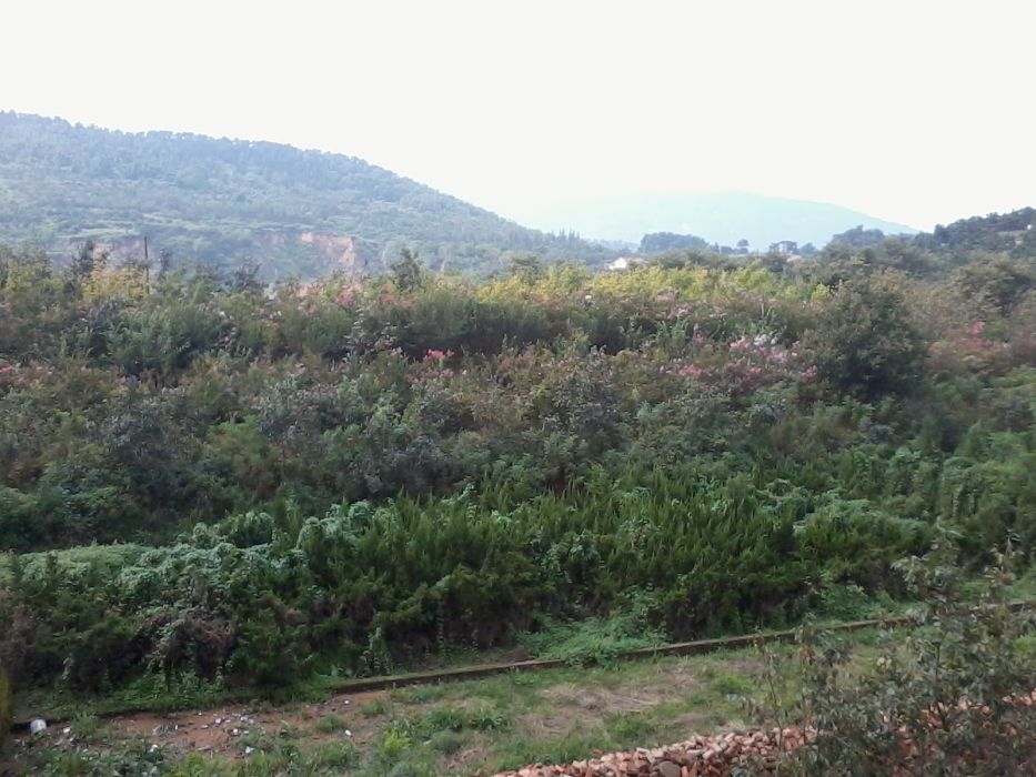 柳南山村 柳南山村