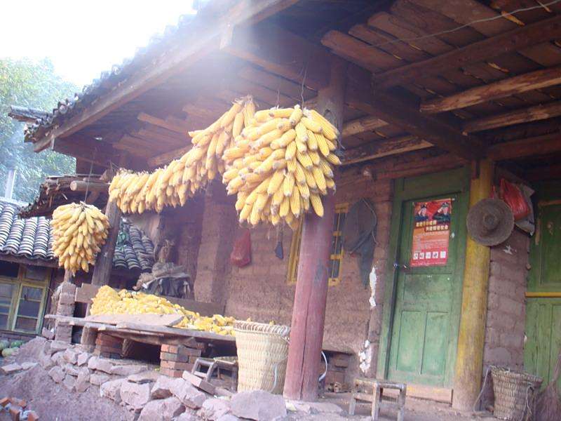 灰蓮村 灰蓮村