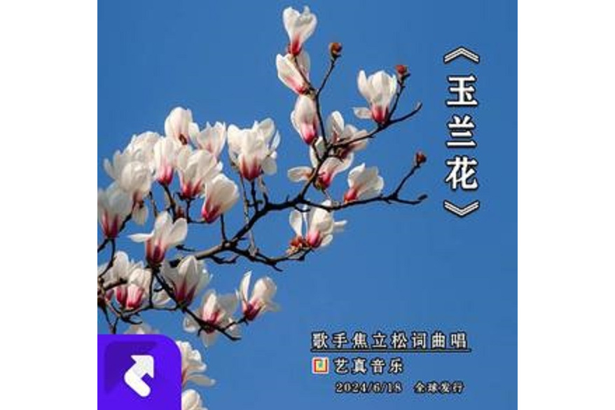 玉蘭花(焦立松演唱歌曲) 玉蘭花(焦立松演唱歌曲)