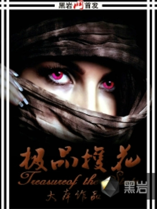 極品護花(黑岩網小說) 極品護花(黑岩網小說)