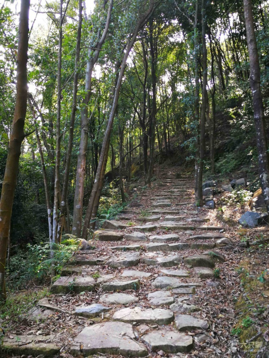 半嶺古道(浙江省湖州市安吉縣境內的古道) 半嶺古道(浙江省湖州市安吉縣境內的古道)