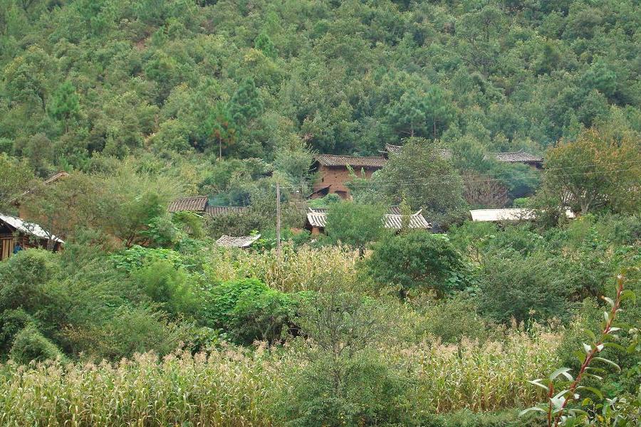 壩以河村 壩以河村