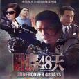 臥底48天(2013年邵兵汪裴主演電視劇)