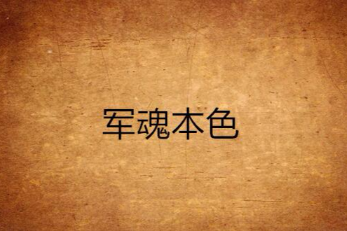 軍魂本色
