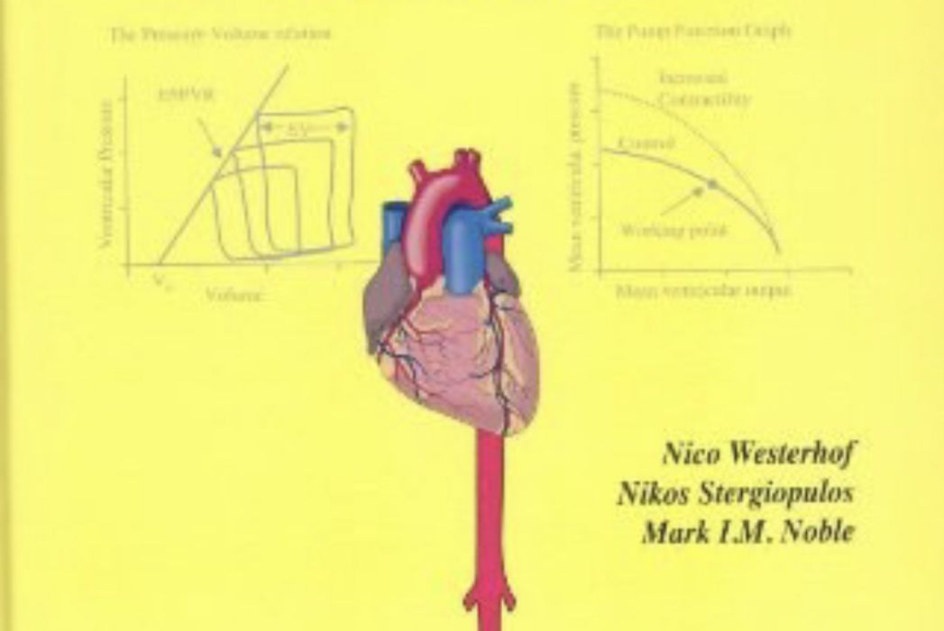 Snapshots of Hemodynamics Snapshots of Hemodynamics