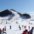 玉龍滑雪場