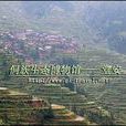 堂安 堂安
