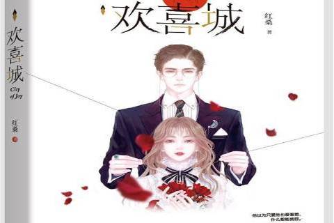 歡喜城(2019年江蘇鳳凰文藝出版社出版的圖書) 歡喜城(2019年江蘇鳳凰文藝出版社出版的圖書)