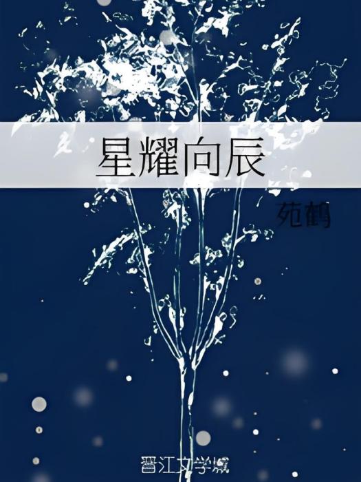 星耀向辰 星耀向辰