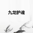 九龍護魂 九龍護魂
