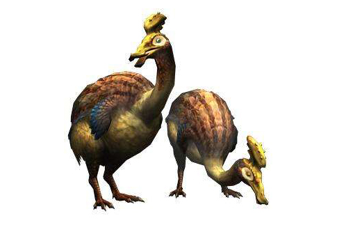 丸鳥 丸鳥