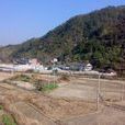 獅子村(會昌縣轄獅子村) 獅子村(會昌縣轄獅子村)