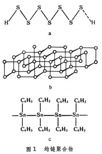 均鏈聚合物