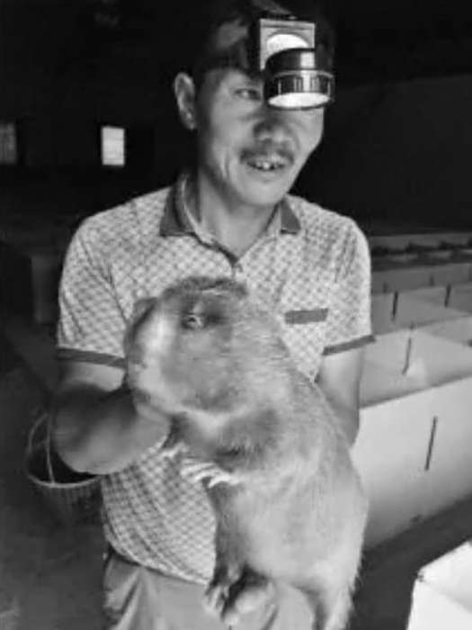 黃龍盛 黃龍盛