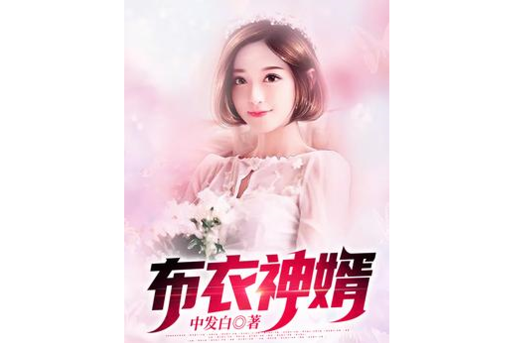 布衣神婿 布衣神婿