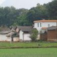 下莊村(雲南省麗江市永勝縣三川鎮下莊村) 下莊村(雲南省麗江市永勝縣三川鎮下莊村)
