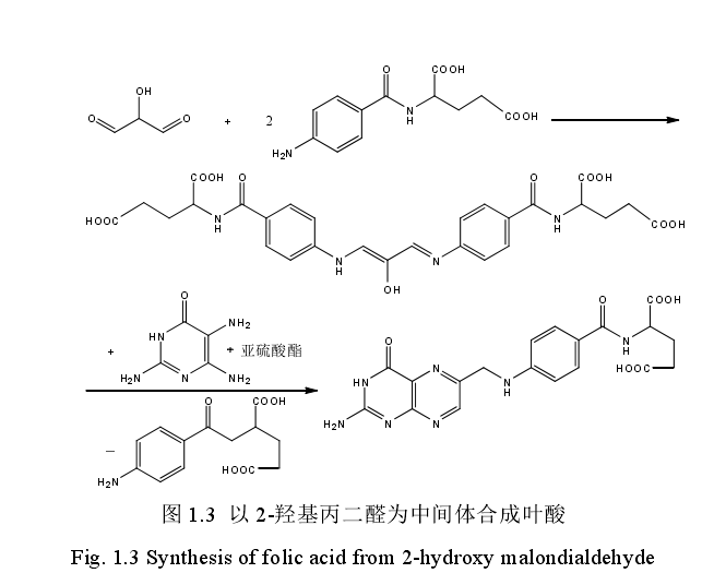 圖 1.3  以 2-羥基丙二醛為中間體合成葉酸