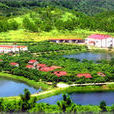 大田鎮(廣東省恩平市大田鎮)