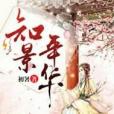 知景年華 知景年華
