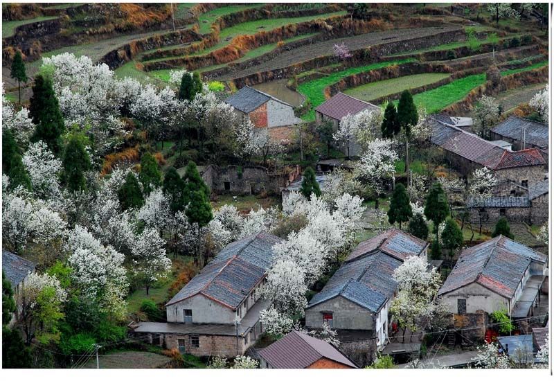 梨花村(雲南省宜良縣湯池鎮梨花村) 梨花村(雲南省宜良縣湯池鎮梨花村)