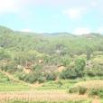 彎腰地村 彎腰地村