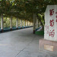 吐魯番市葡萄溝風景區(葡萄溝風景區)
