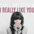 I Really Like You I Really Like You