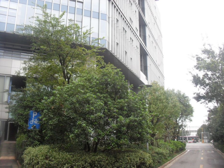 坪垟崗村