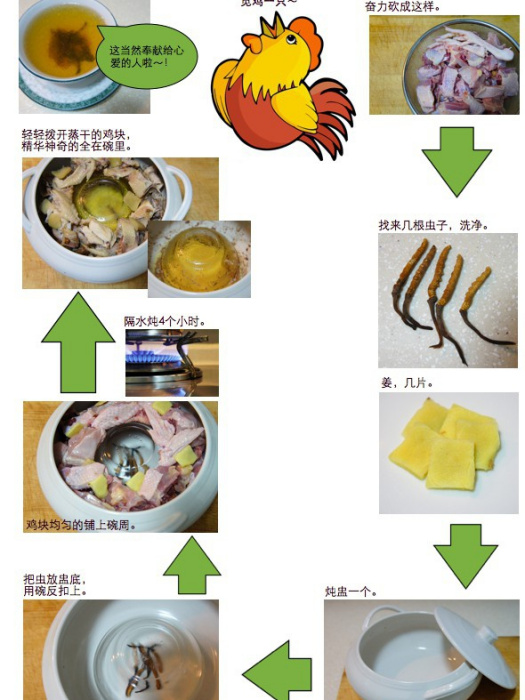 蟲草雞精 蟲草雞精