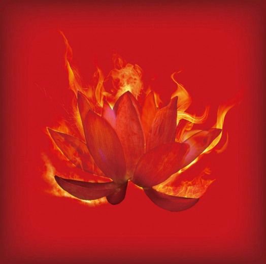 火焰紅蓮 火焰紅蓮