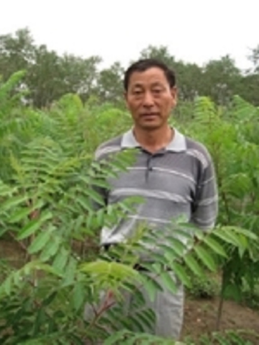 王存廣 王存廣